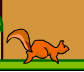 Crazy Squirrel